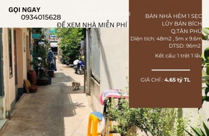 SỐC Bán đất tặng nhà hẻm 1 sẹc Lũy Bán Bích 48m2, 1Lầu, 4.65 tỷ